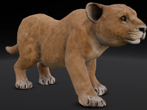 Baby Lion Animated 3D Model