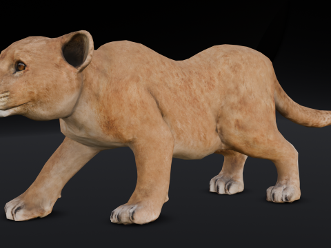 Baby Lion Animated 3D 모델