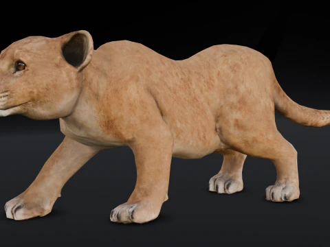 Baby Lion Animated 3D Model