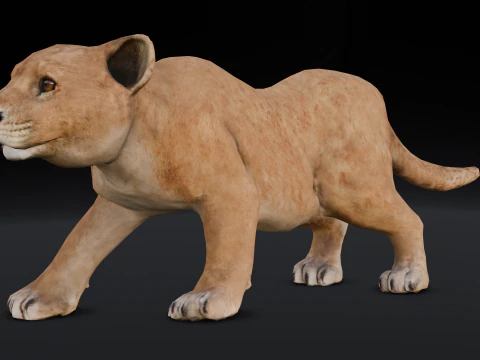 Baby Lion Animated 3D Model