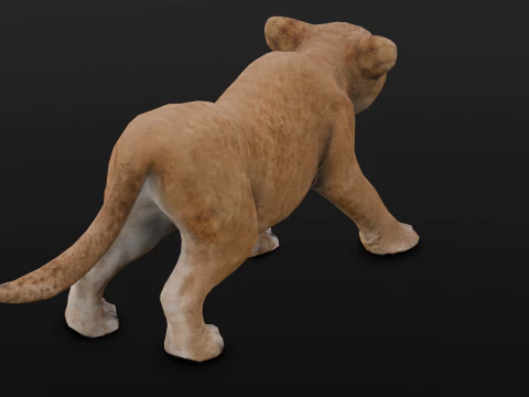Baby Lion Animated 3D Model