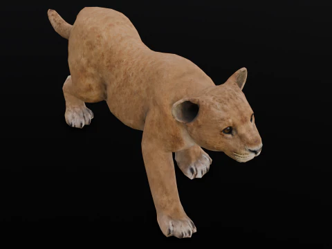 Baby Lion Animated 3D Model
