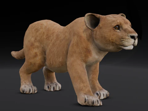 Baby Lion Animated 3D Model