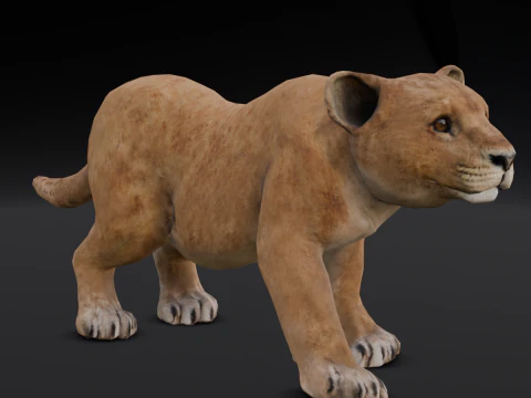 Baby Lion Animated 3D Model