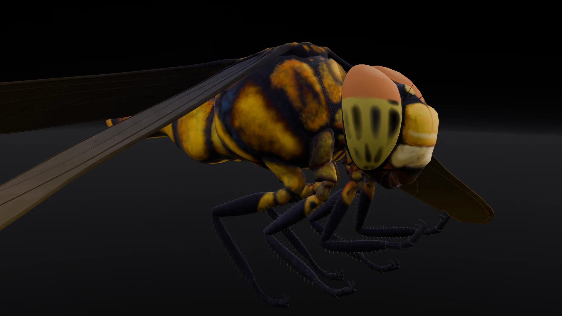 Dragonfly Animated 3D Model .c4d .max .obj .3ds .fbx .stl .blend