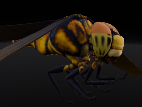 Dragonfly Animated 3D Model