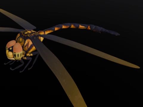 Dragonfly Animated 3D Model