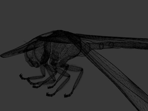 Dragonfly Animated 3D Model