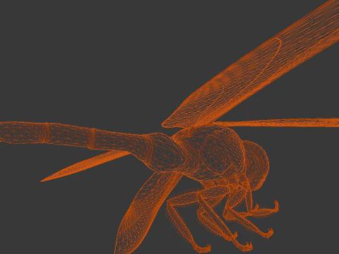 Dragonfly Animated 3D Model