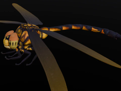 Dragonfly Animated 3D Model