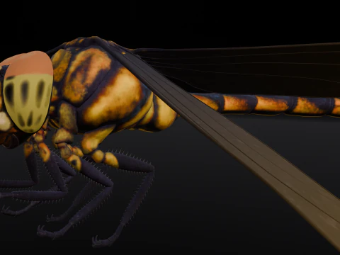 Dragonfly Animated 3D Model