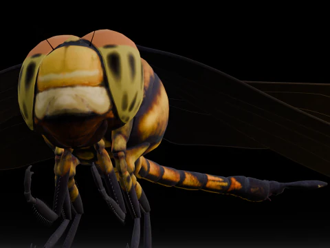 Dragonfly Animated 3D Model