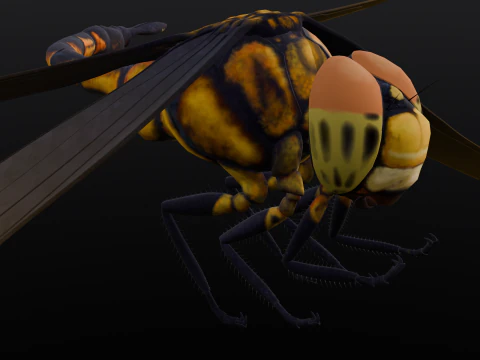 Dragonfly Animated 3D Model