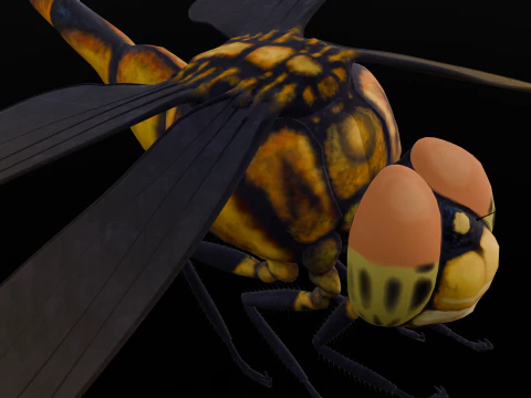 Dragonfly Animated 3D Model
