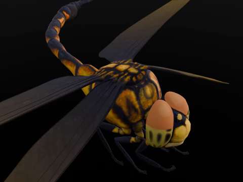 Dragonfly Animated 3D Model