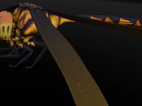 Dragonfly Animated 3D Model