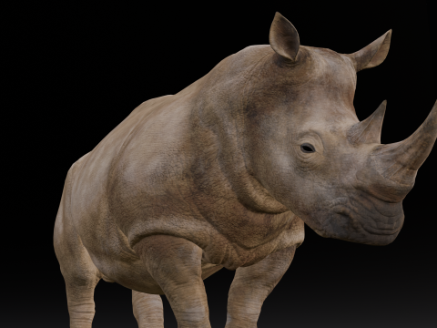 Behemoth Animated Modello 3D
