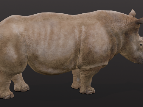 Behemoth Animated Modello 3D