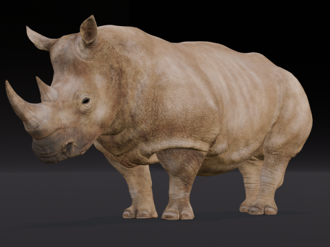 Behemoth Animated Modello 3D
