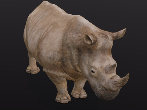 Behemoth Animated Modello 3D