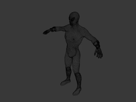 Spiderman 3D Model