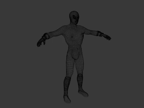 Spiderman 3D Model