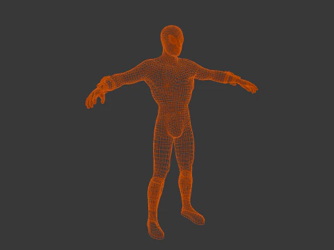 Spiderman 3D Model