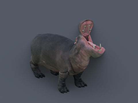 Animated hippopotamus 3D Model