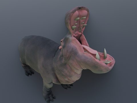 Animated hippopotamus 3D Model