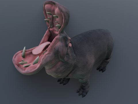 Animated hippopotamus 3D Model