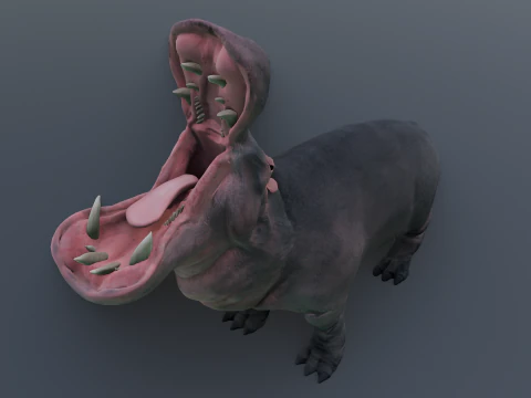 Animated hippopotamus 3D Model