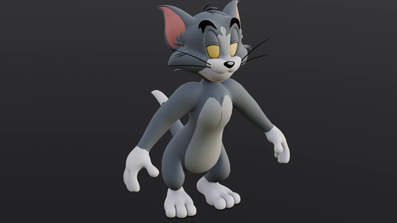 Tomek Rigged Model 3D .c4d .max .obj .3ds .fbx .stl .blend