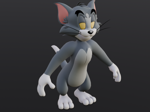 Tom Rigged 3D मॉडल