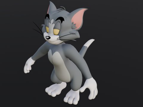 Tom Rigged Modèle 3D