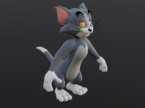 Tom Rigged Modèle 3D