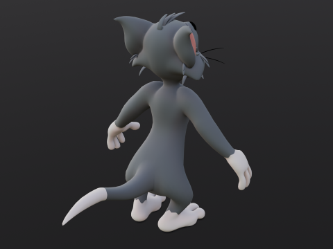 Tom Rigged Modèle 3D