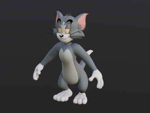 Tom Rigged Modèle 3D