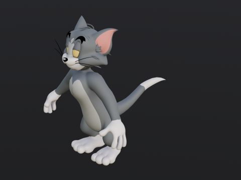 Tom Rigged Modèle 3D