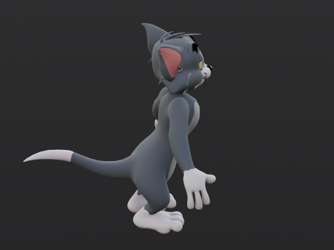 Tom Rigged Modèle 3D