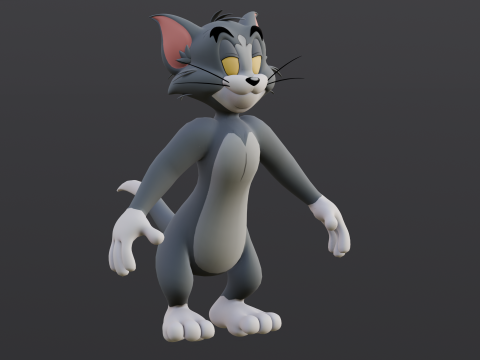 Tom Rigged Modèle 3D