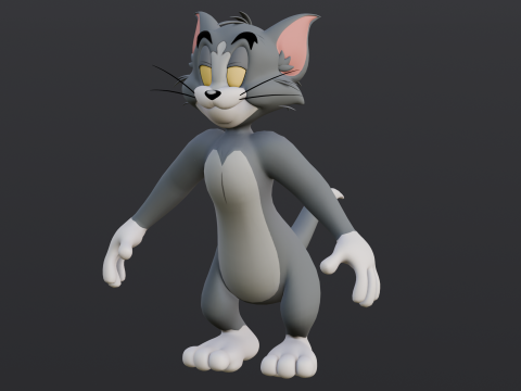 Tom Rigged Modèle 3D