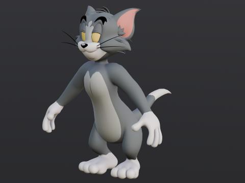 Tom Rigged Modèle 3D