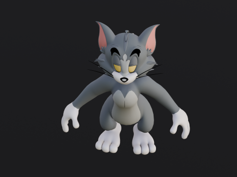 Tom Rigged Modèle 3D