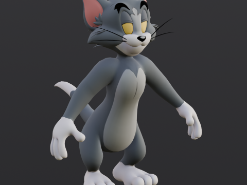 Tom Rigged Modèle 3D