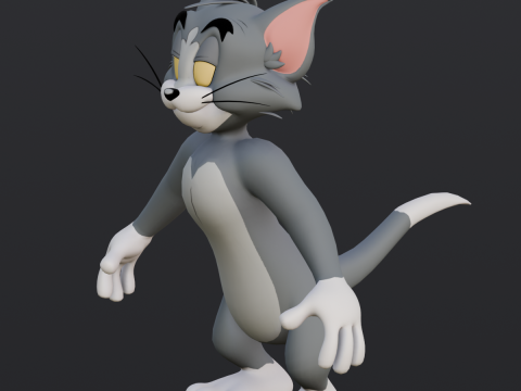 Tom Rigged Modèle 3D