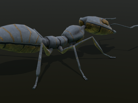 Ant Animated and Rigged 3D Модель