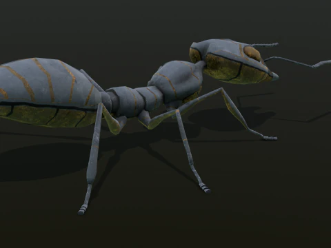 Ant Animated and Rigged 3D Model