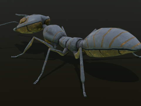 Ant Animated and Rigged 3D Модель
