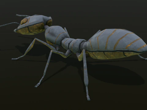 Ant Animated and Rigged 3D Model