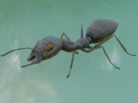 Ant Animated and Rigged 3D Модель